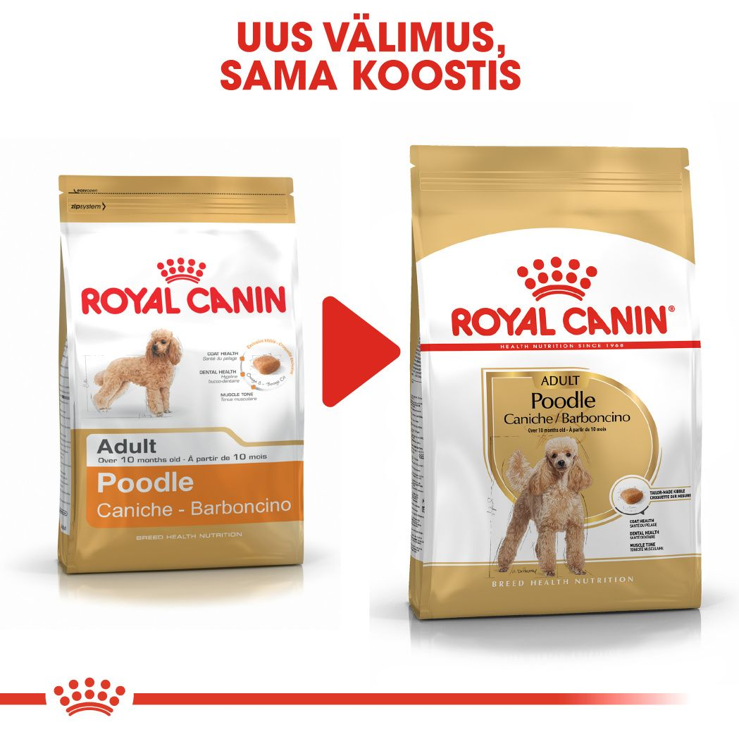 Royal Canin Poodle Adult kuivtoit