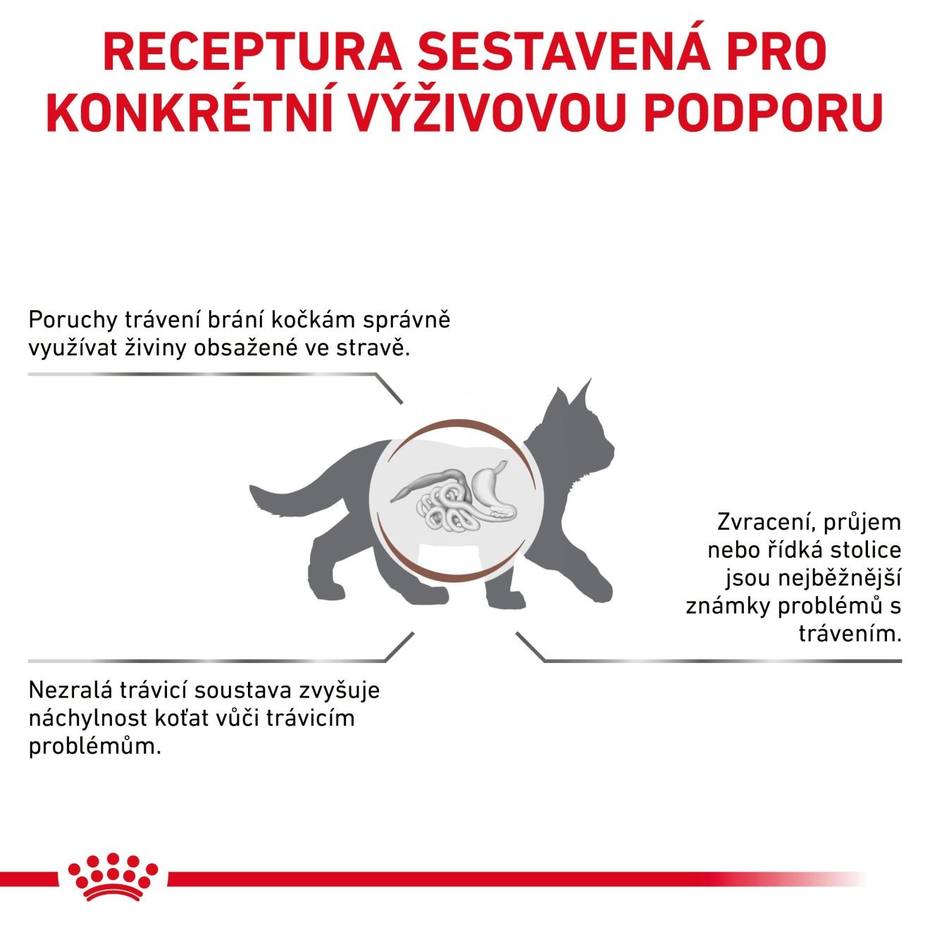 ROYAL CANIN Cat Gastrointestinal Kitten granule pro koťata trpící onemocněním trávicího traktu
