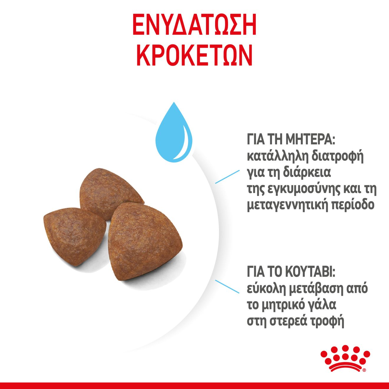 STARTER Mother & Babydog - MEDIUM