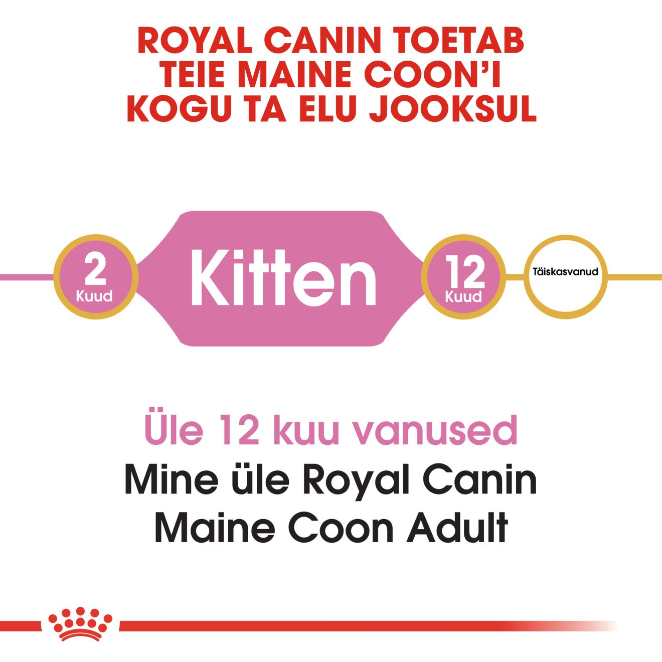 Royal Canin Maine Coon Kitten kuivtoit