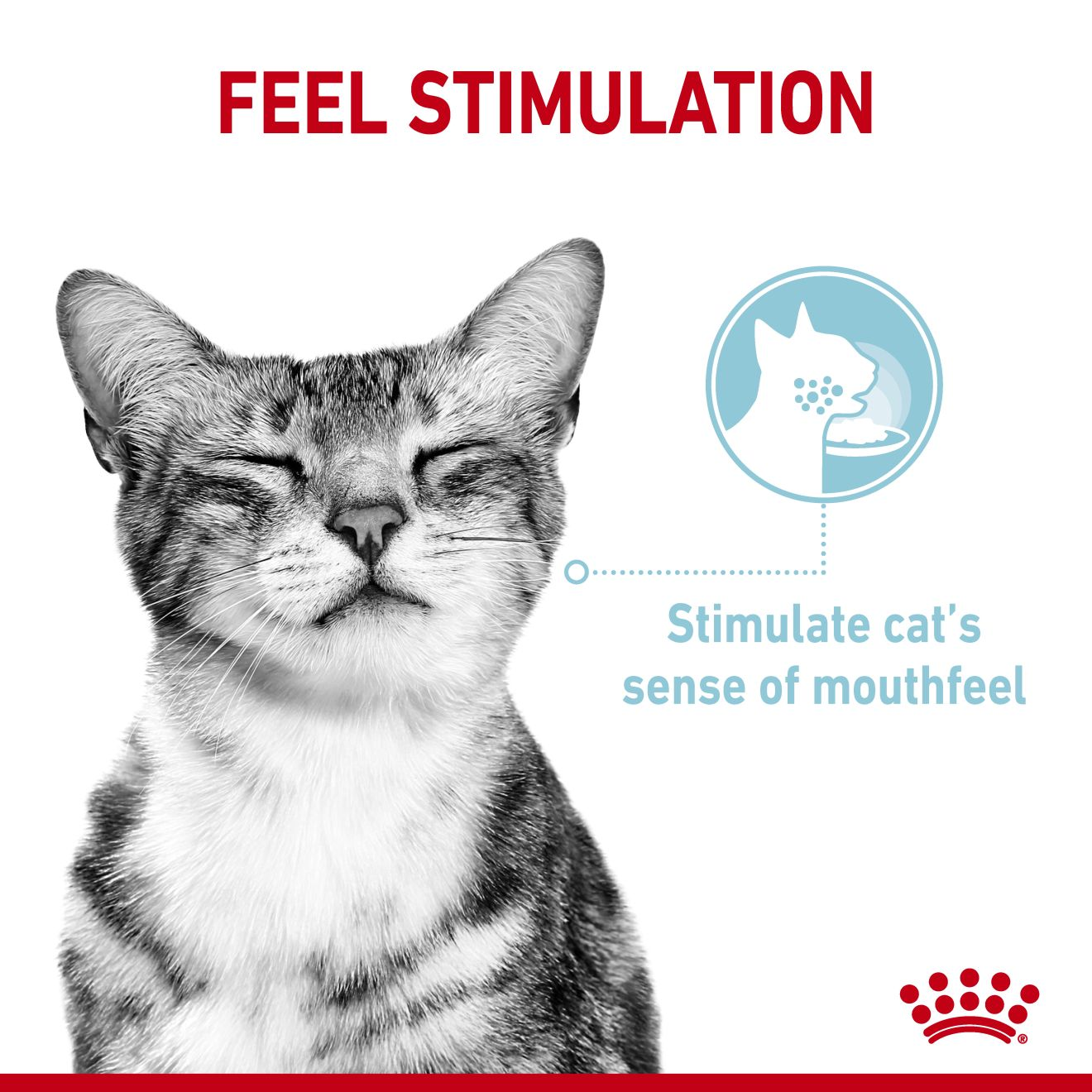 อาหารแมวโตช่างเลือก กระตุ้นการกินด้วยเนื้อสัมผัสเฉพาะ ชนิดเปียก (SENSORY™ FEEL Morsels in jelly)