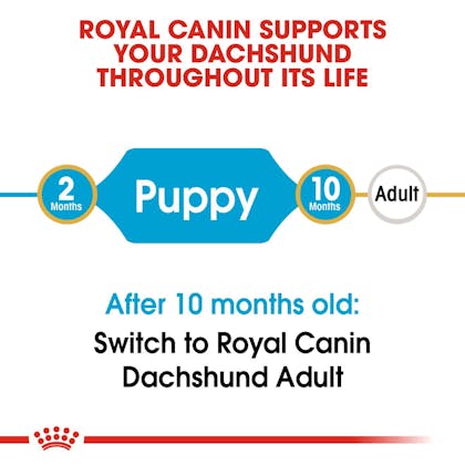 BHN-PuppyDachshund-CV-EretailKit-1