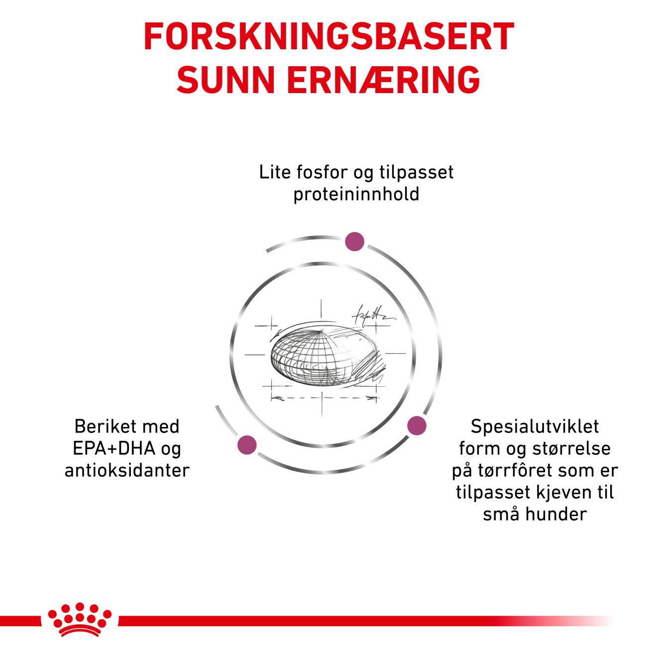 Vital Renal Small Dog