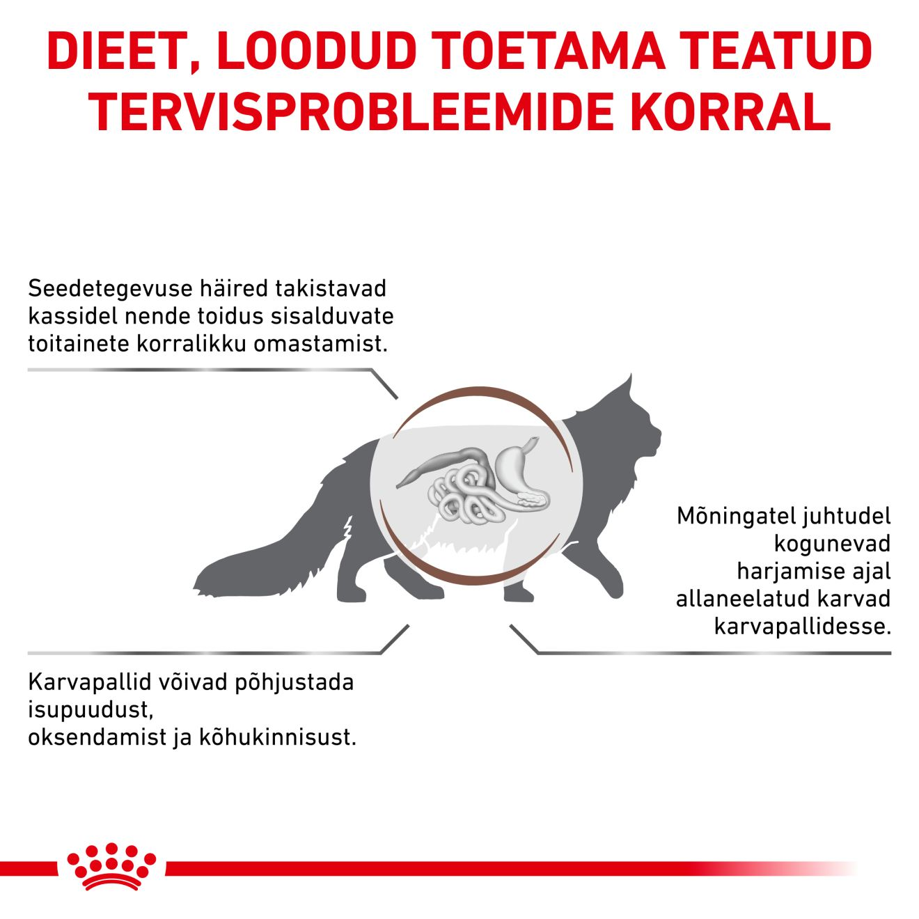 Royal Canin Gastrointestinal Hairball Cat kuivtoit