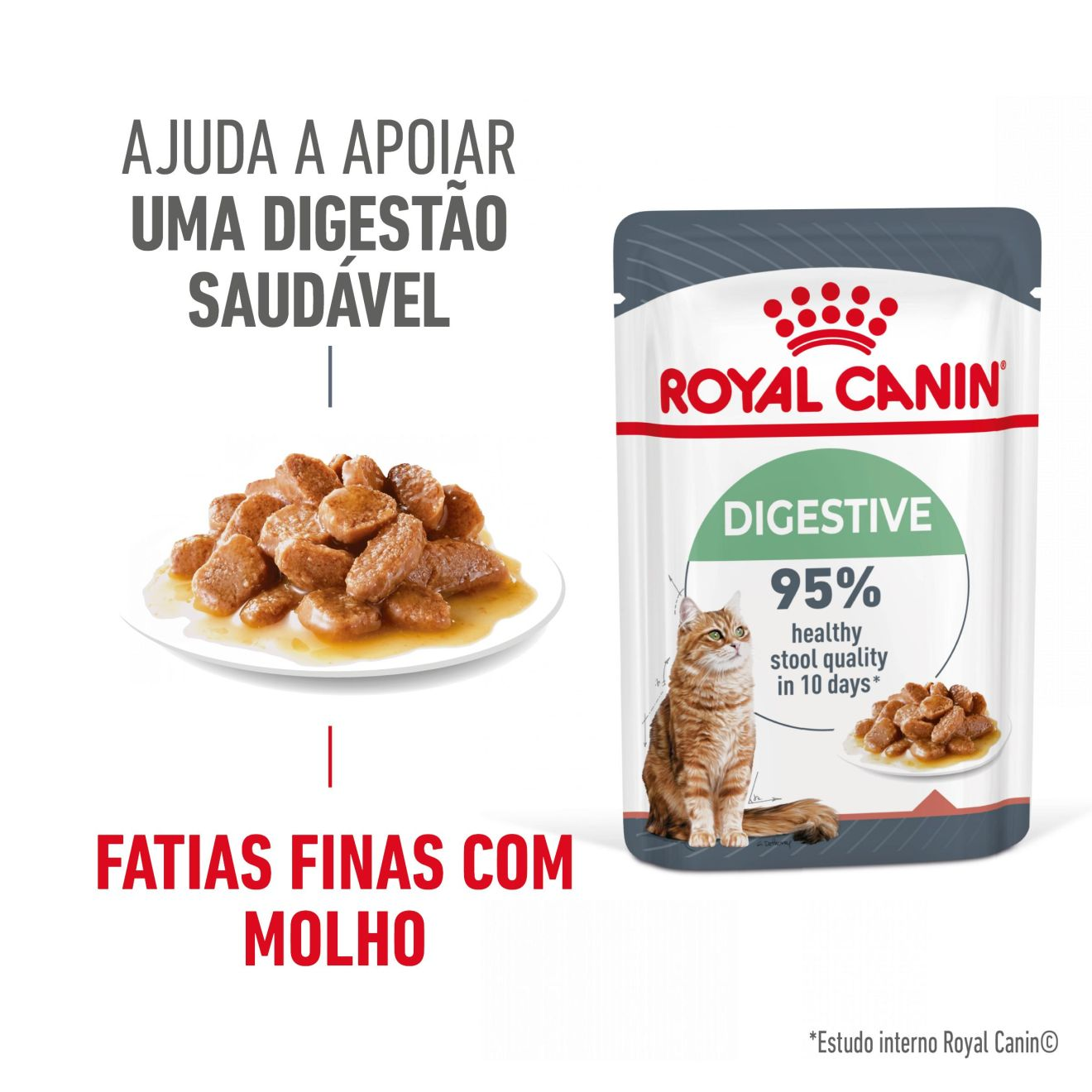 DIGESTIVE CARE Fatias finas em molho