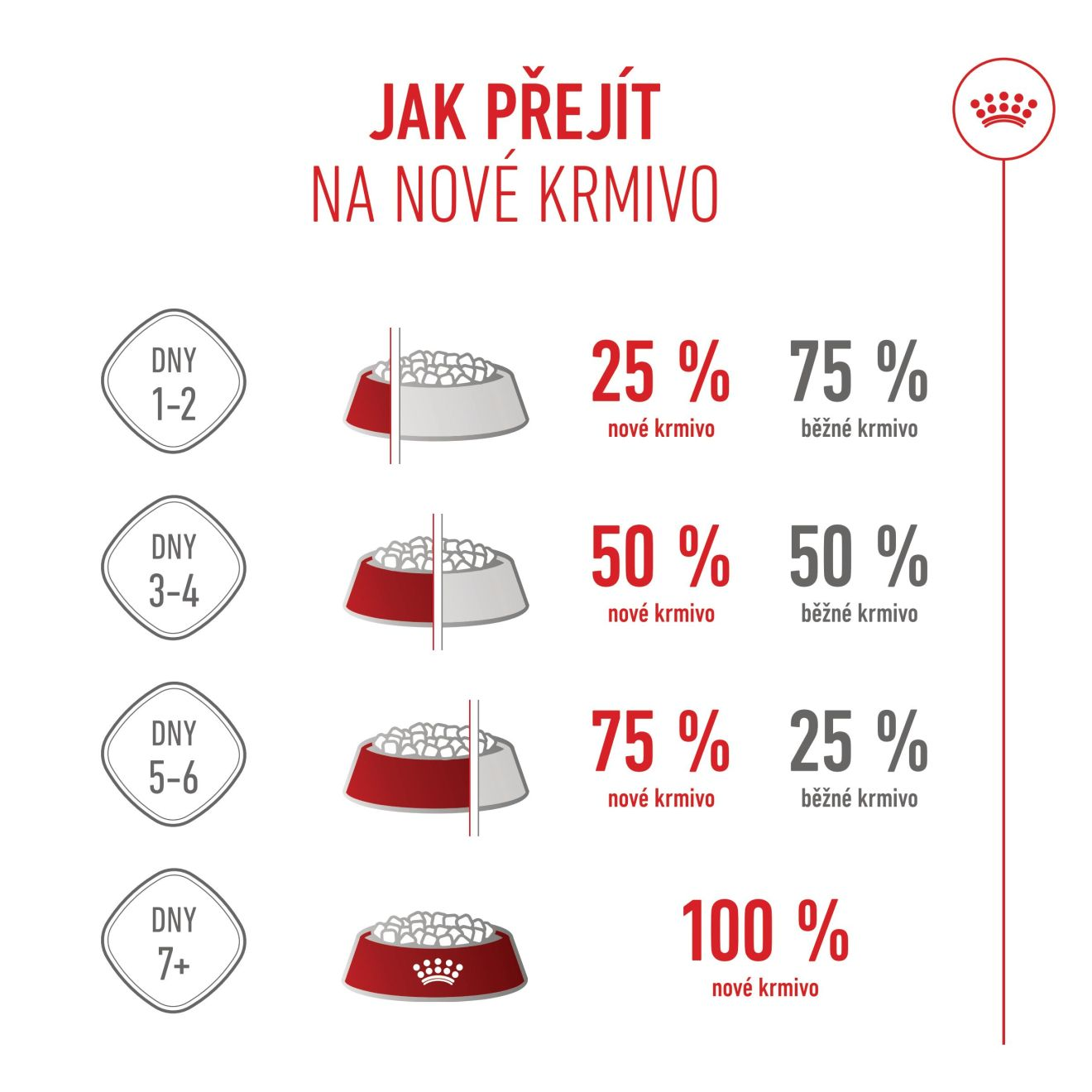 MAXI STARTER Mother & Babydog 