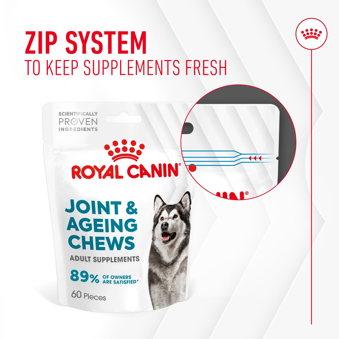 Joint & Ageing Supplement 240g