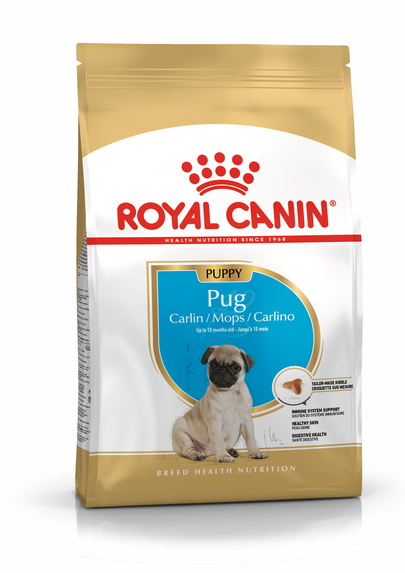 how much to feed a pug puppy