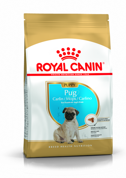 Pug Puppy Dry Royal Canin