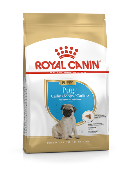 Pug Puppy Dry Royal Canin