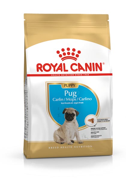 Pug best sale puppy supplies