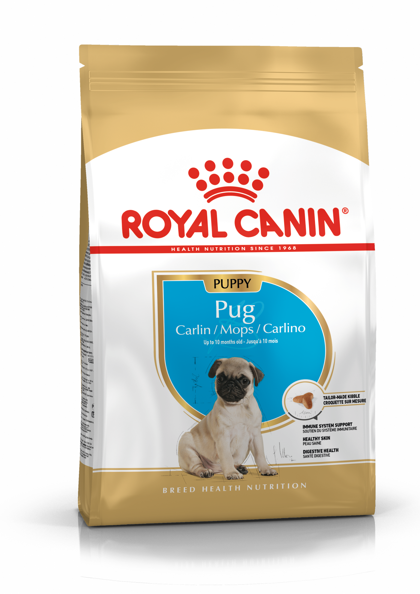 Pack shot of Pug puppy product