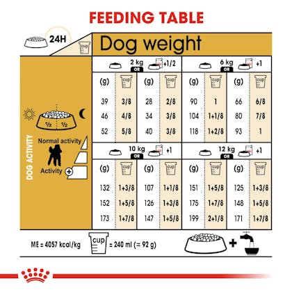 Toy Poodle Feeding Guide