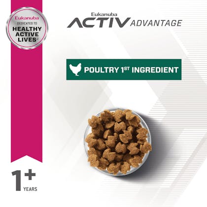 Eukanuba adult hotsell weight control