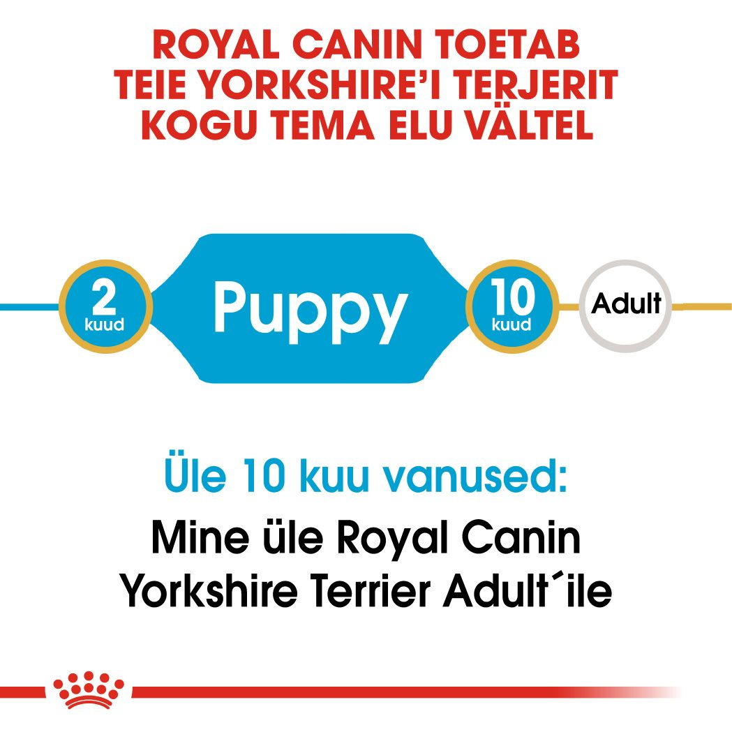 Royal Canin Yorkshire Terrier Puppy kuivtoit