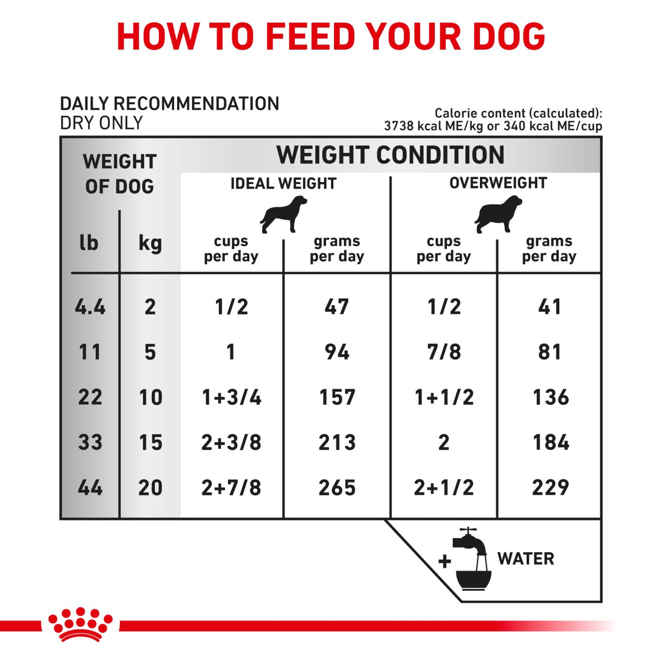 Royal canin so dog hot sale food