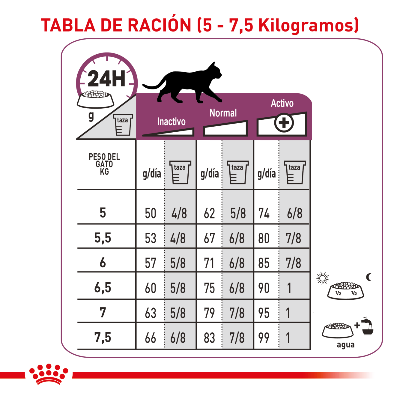 Renal Gato