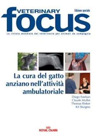 La cura del gatto anziano nell’attività ambulatoriale