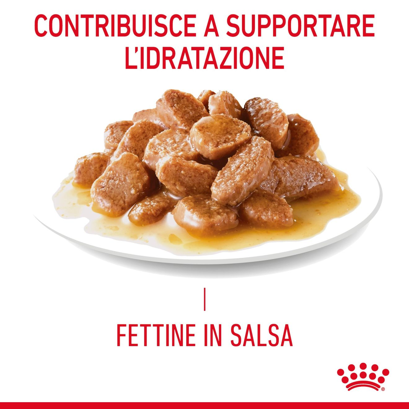 Appetite Control Care in salsa