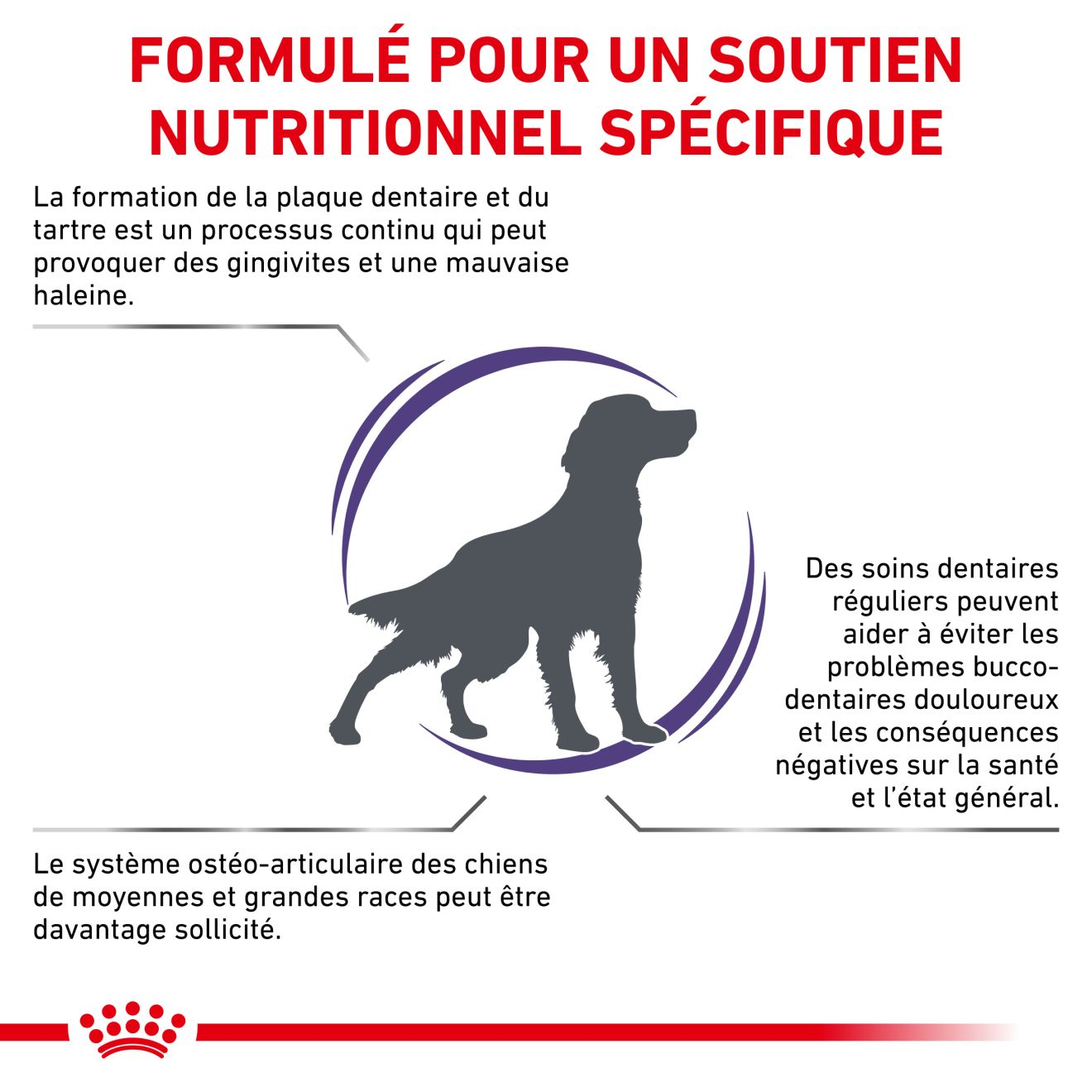 Dental Medium & Large Dogs - Aliment vétérinaire pour chien