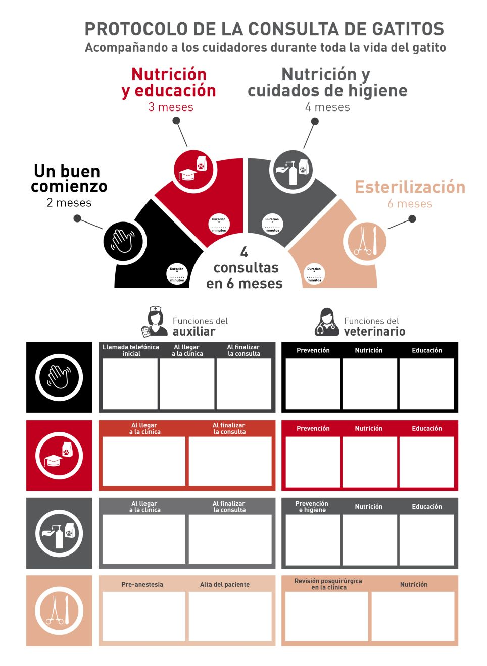 Los esquemas son una excelente forma de resumir los protocolos 