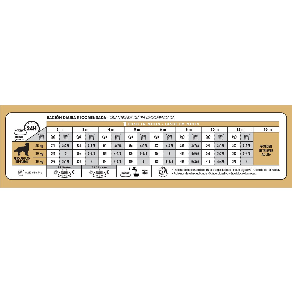 Golden Retriever Puppy