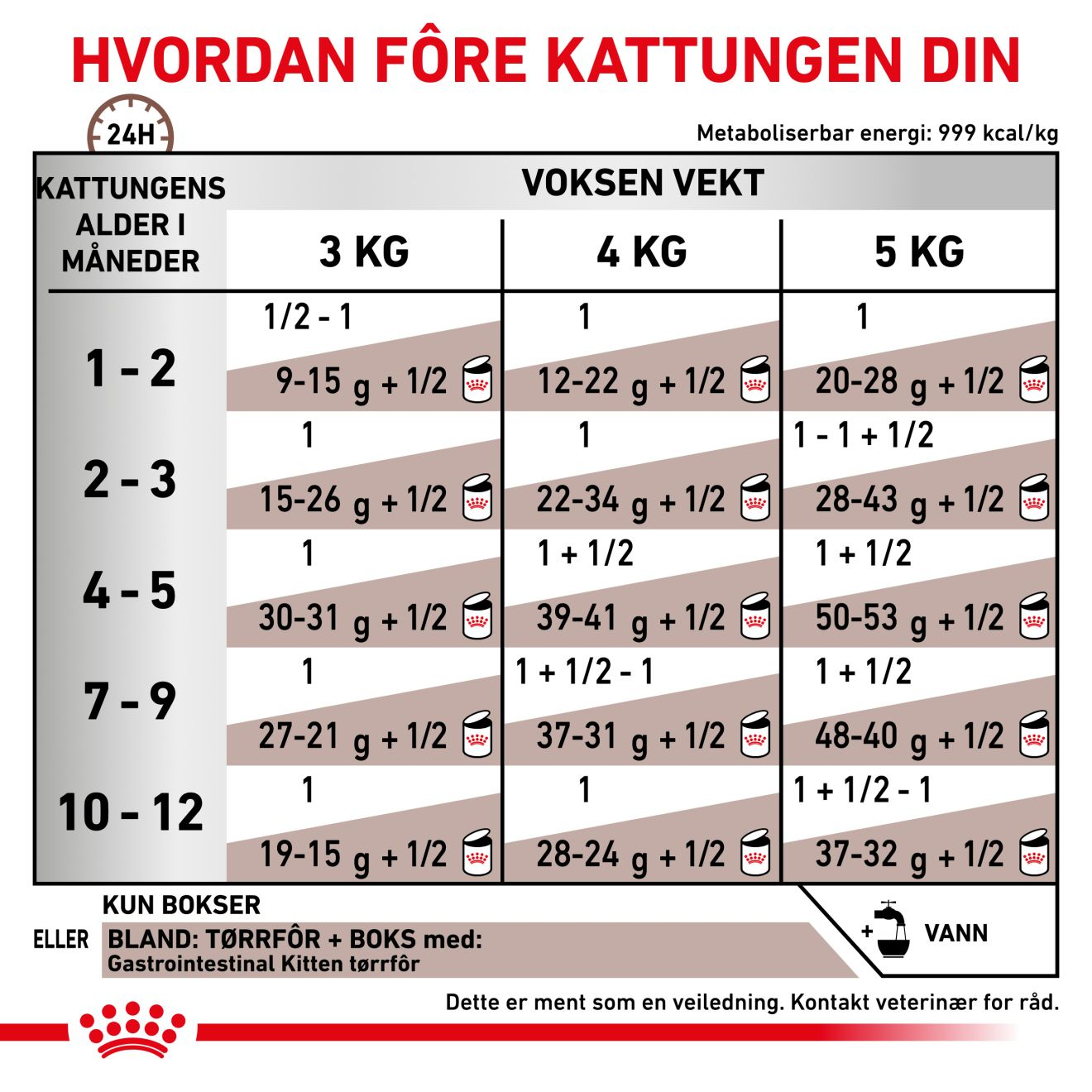 Gastrointestinal Kitten Mousse