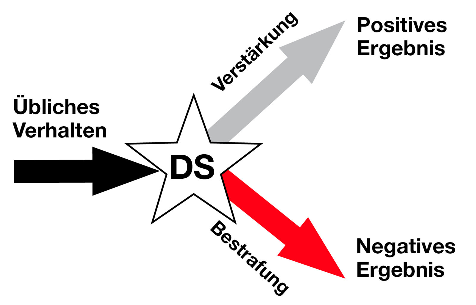 Abbildung 4. Operante Reaktion.Eine operante Reaktion umfasst die Beeinflussung