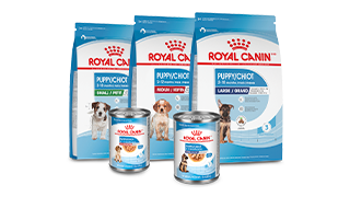 Puppy products Canada