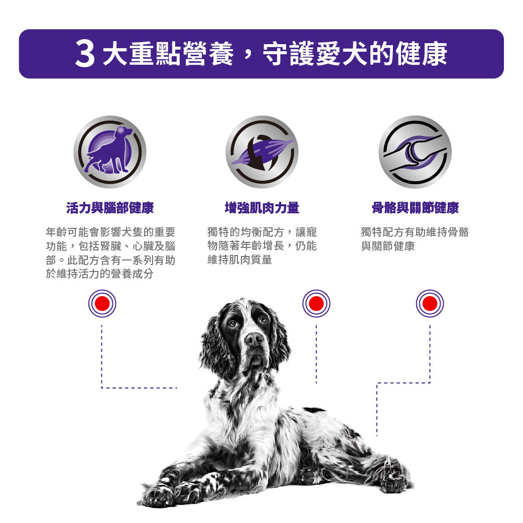 老犬健康管理袋裝濕糧（肉塊）
