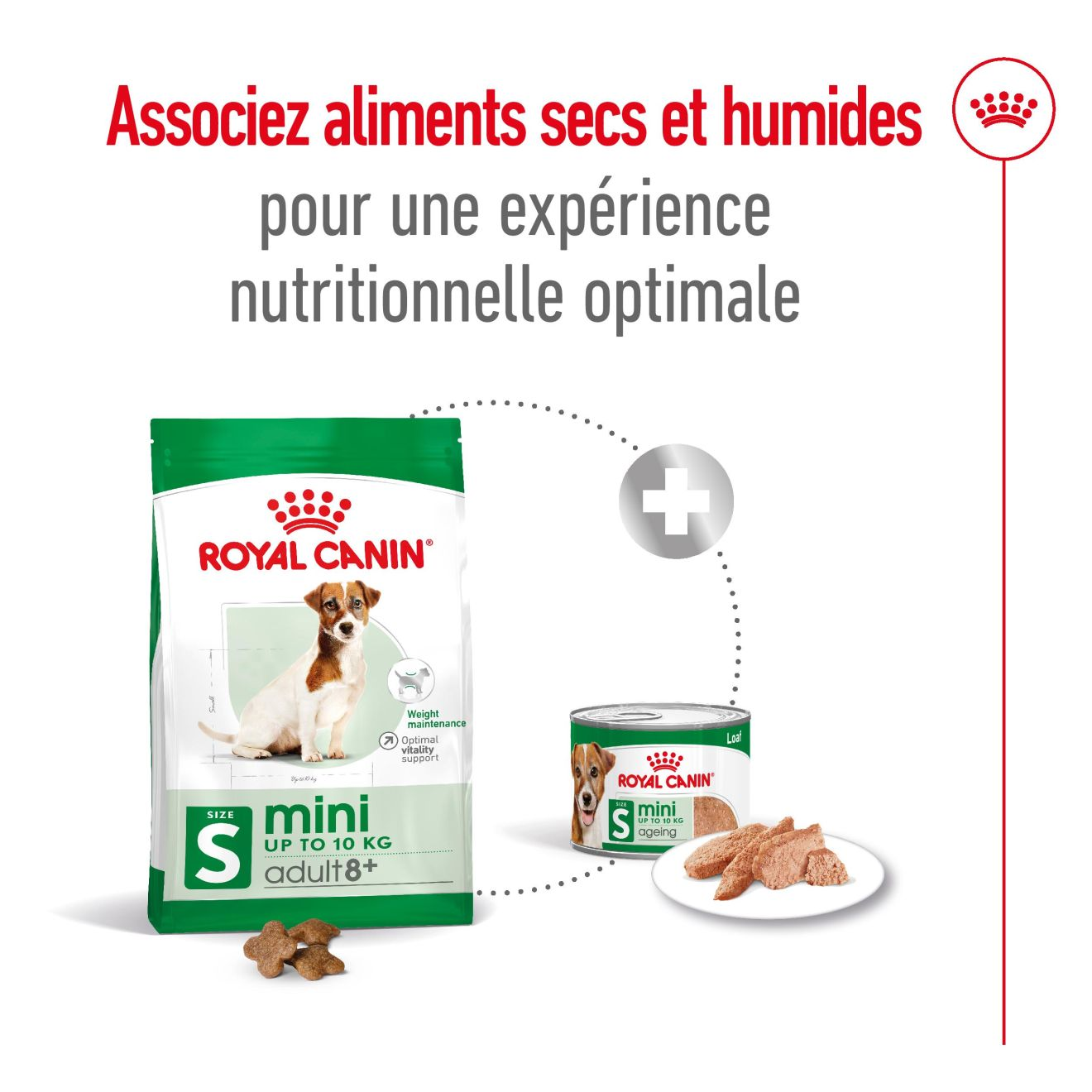 Mini adulte royal canin 2024 8kg