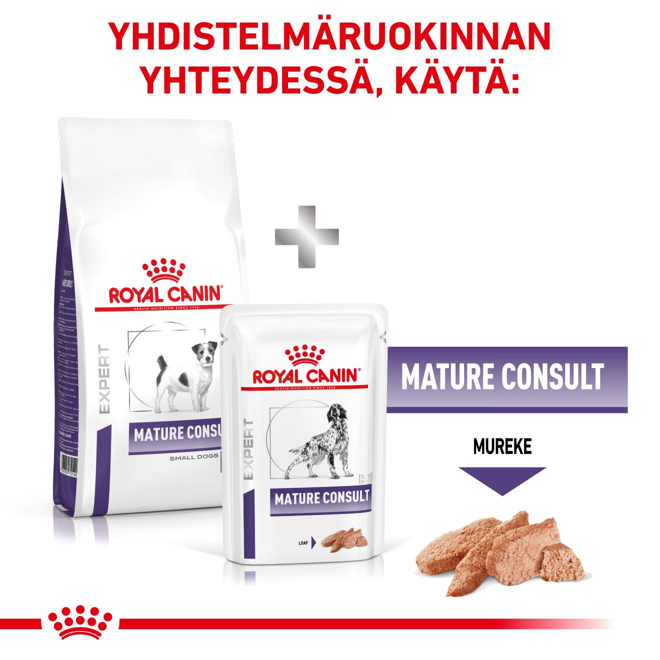 Health Mature Consult Small Dog 