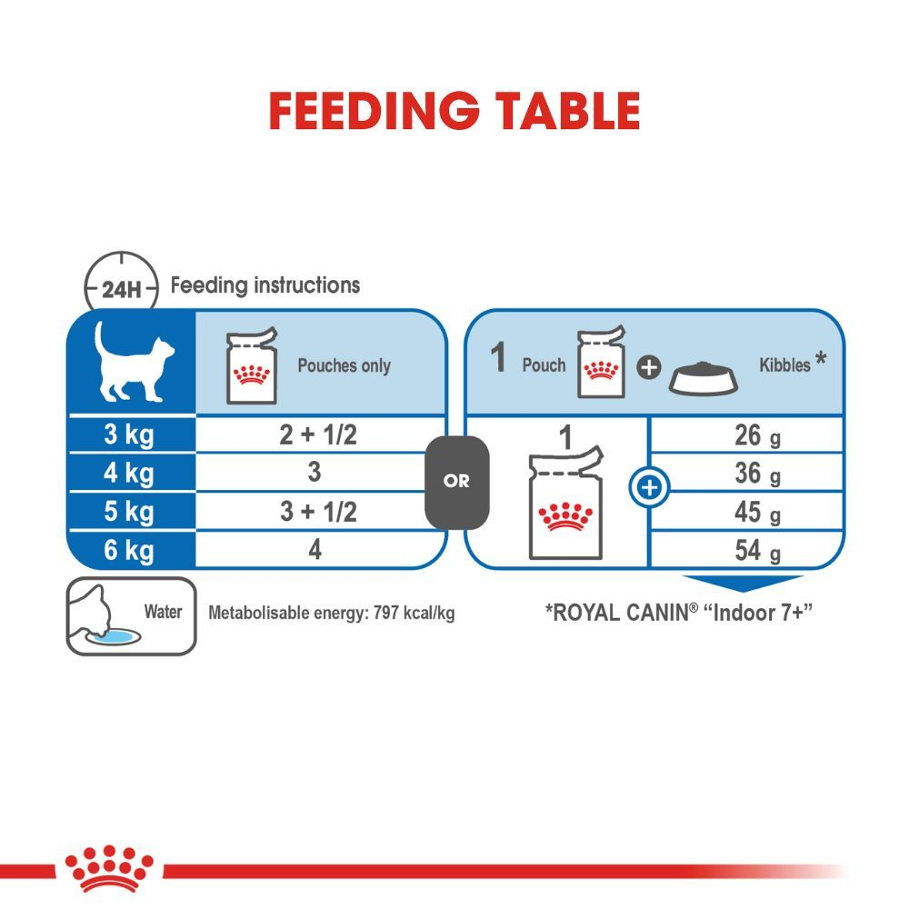 Indoor 7+ Chunks in Gravy