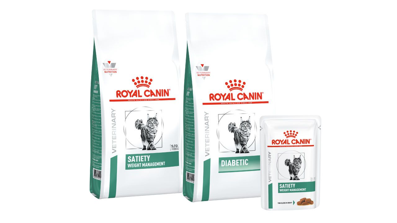 Dog urinary range pack shot