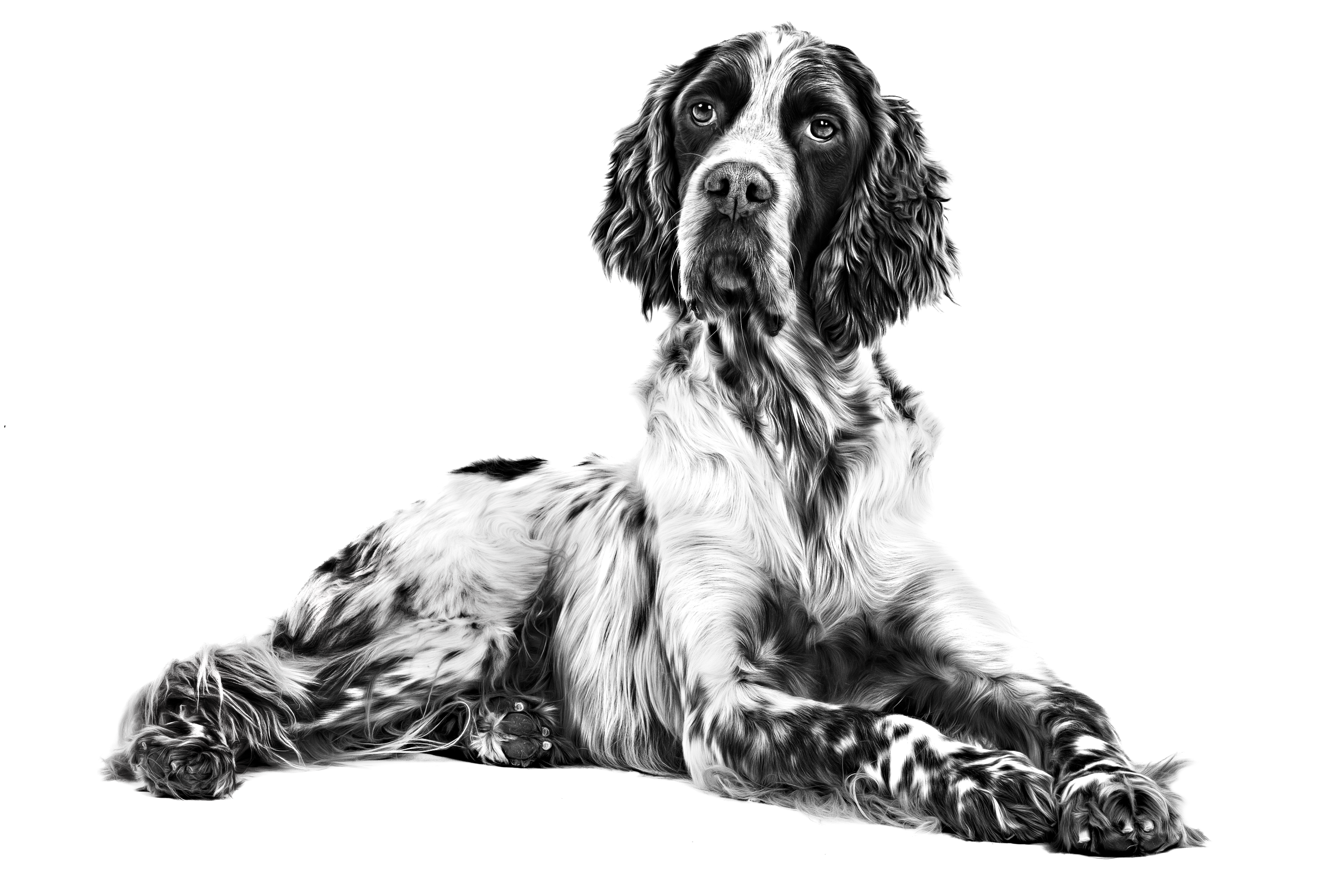 pa.productDetails.productDetailsImageAlt