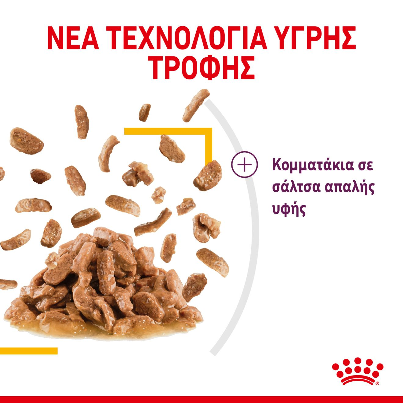 SENSORY™ TASTE κομματάκια σε σάλτσα