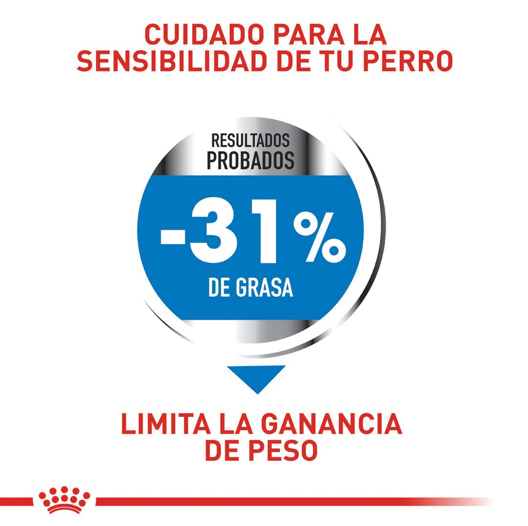 Mini Light Weight Care