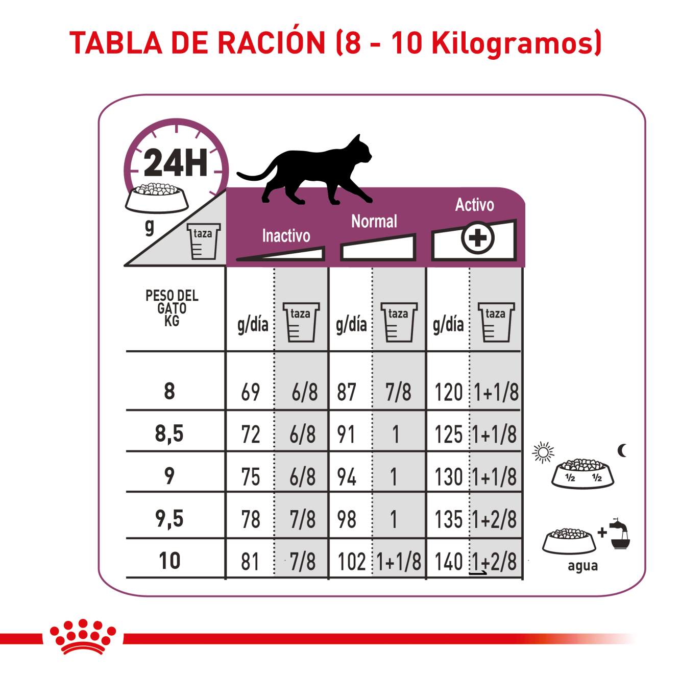 Renal Gato