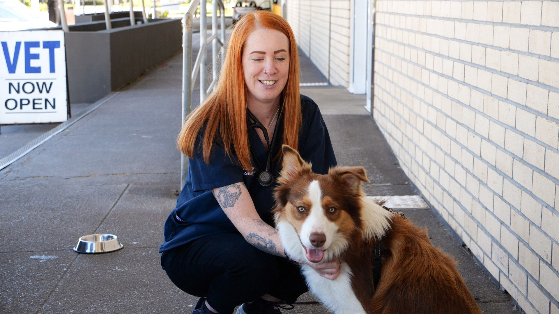 Vet nurse with dog