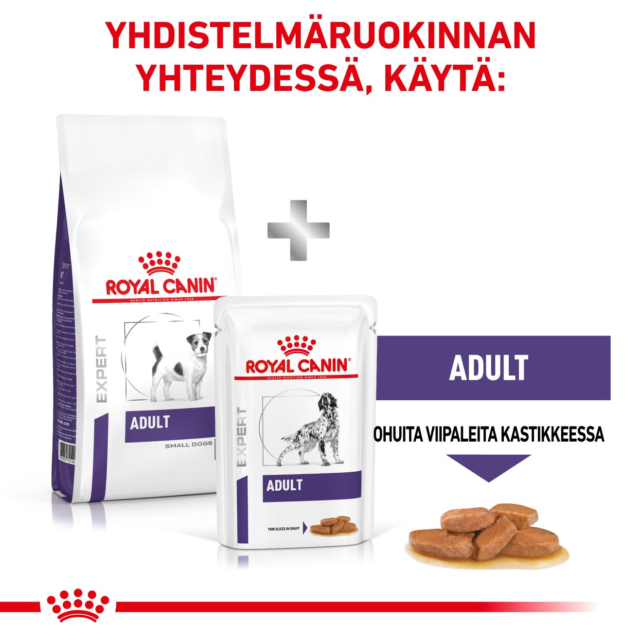 Health Adult Small dog
