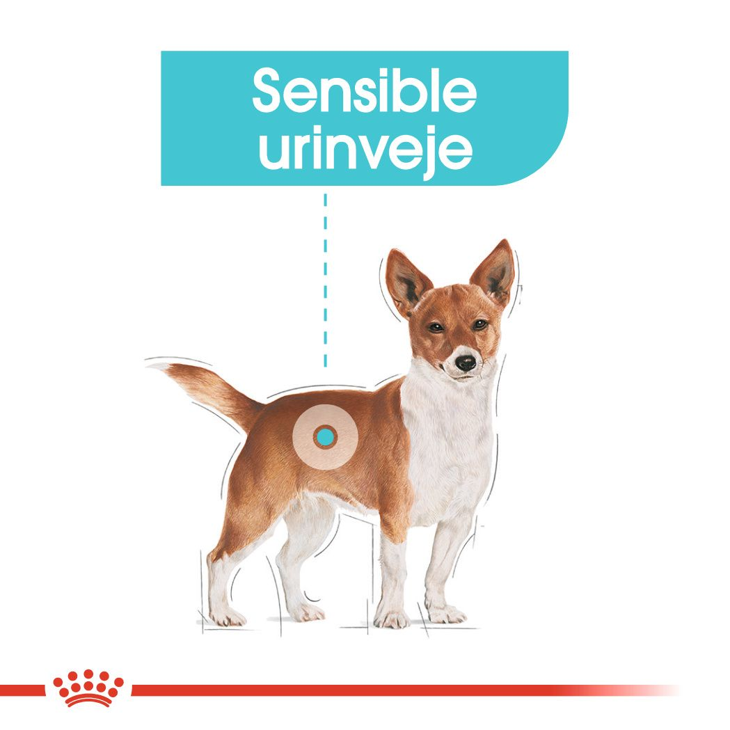 Urinary Care Wet