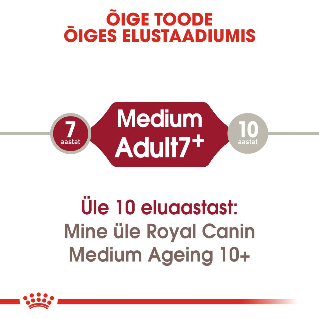 Royal Canin Medium Adult 7+ kuivtoit