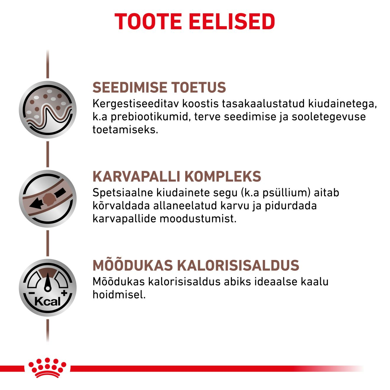 Royal Canin Gastrointestinal Hairball Cat kuivtoit