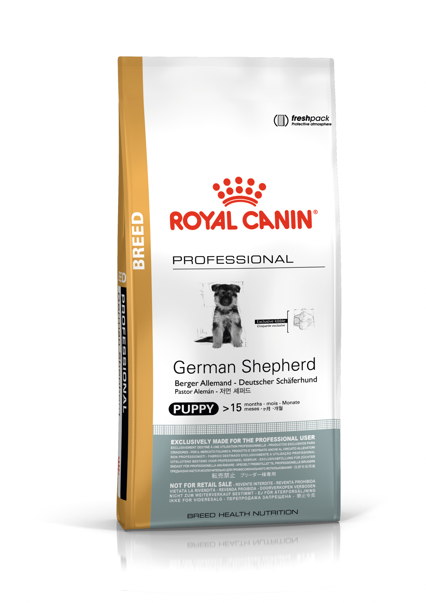 German Shepherd Puppy 16kg