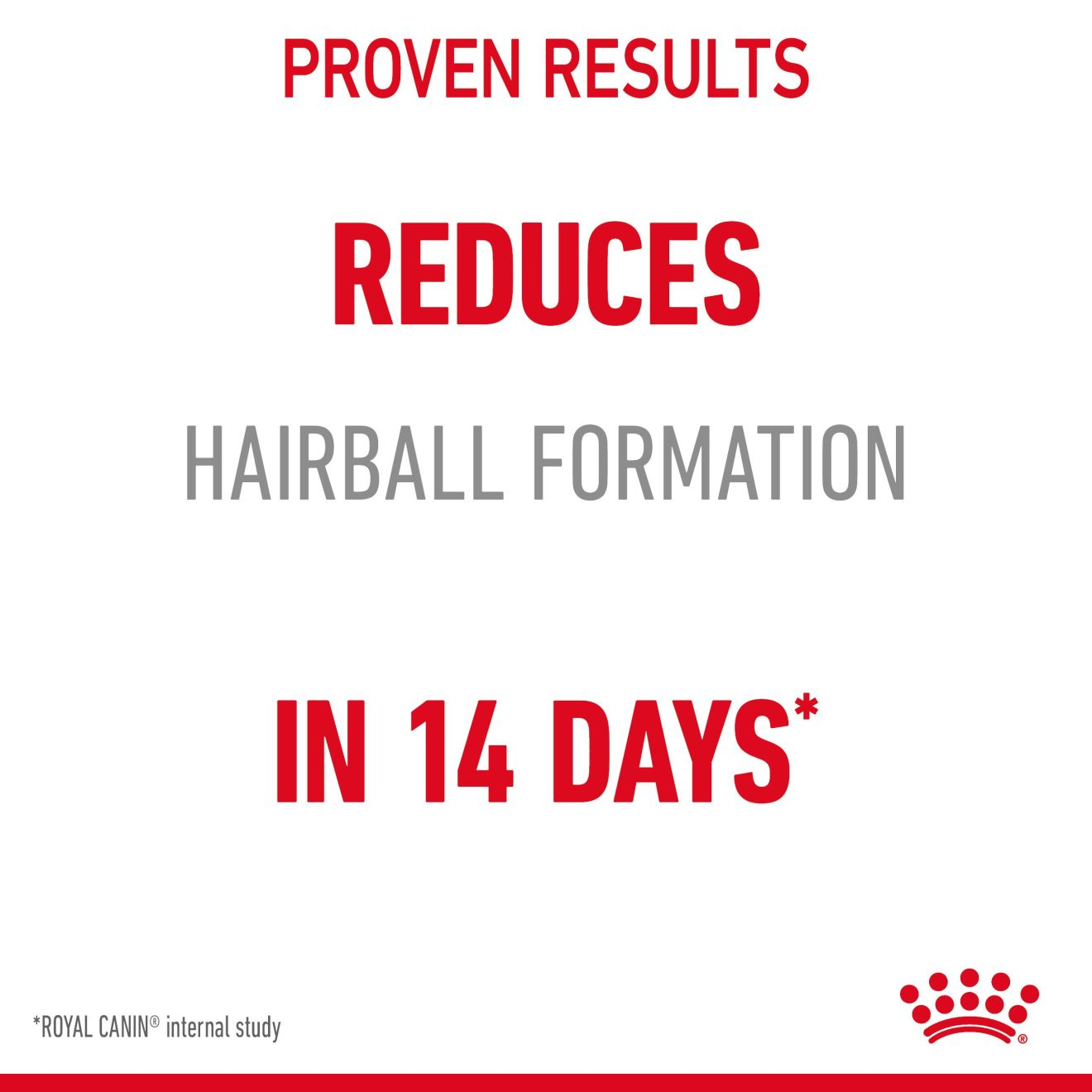 Hairball Care