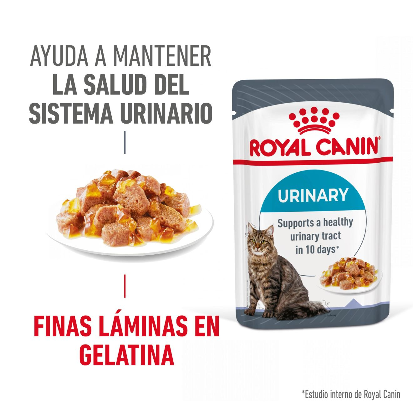 Urinary Care Finas láminas en gelatina
