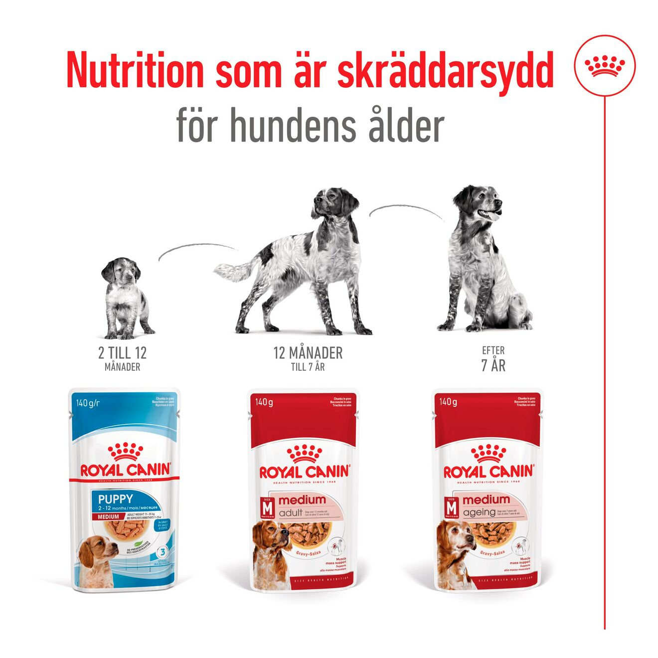 Medium Ageing bitar i sås