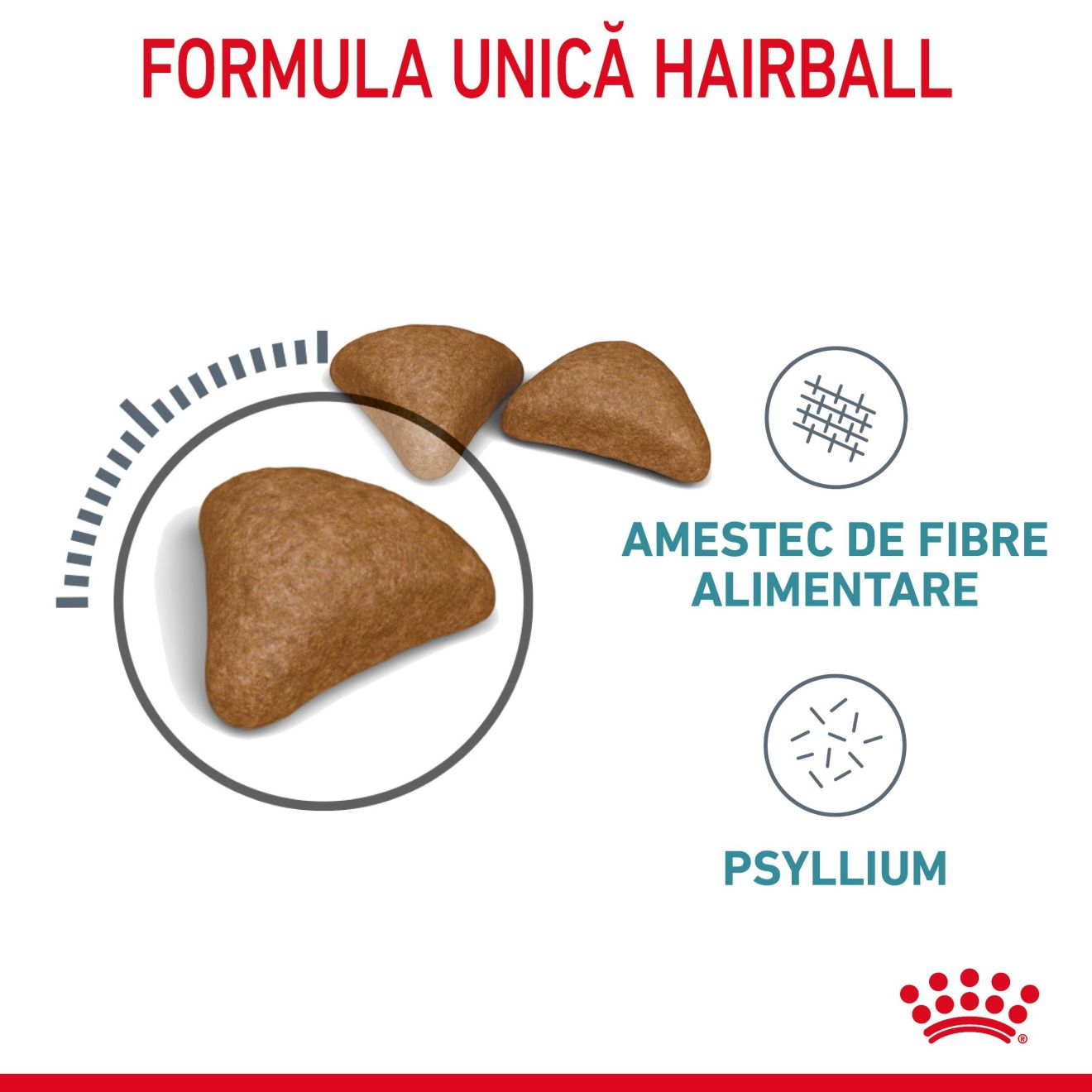 HAIRBALL CARE