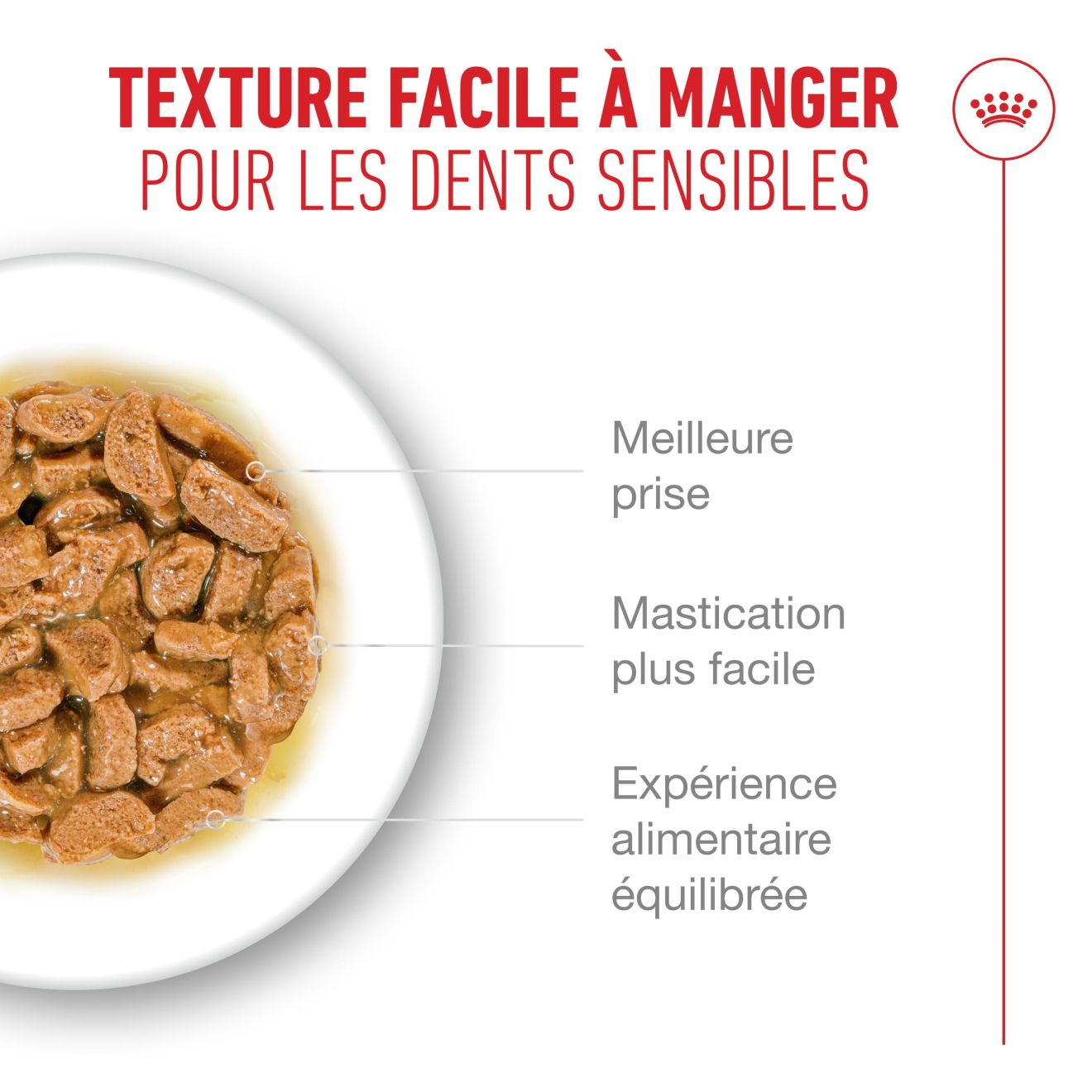 Ageing 15+ Gravy (émincés en sauce)