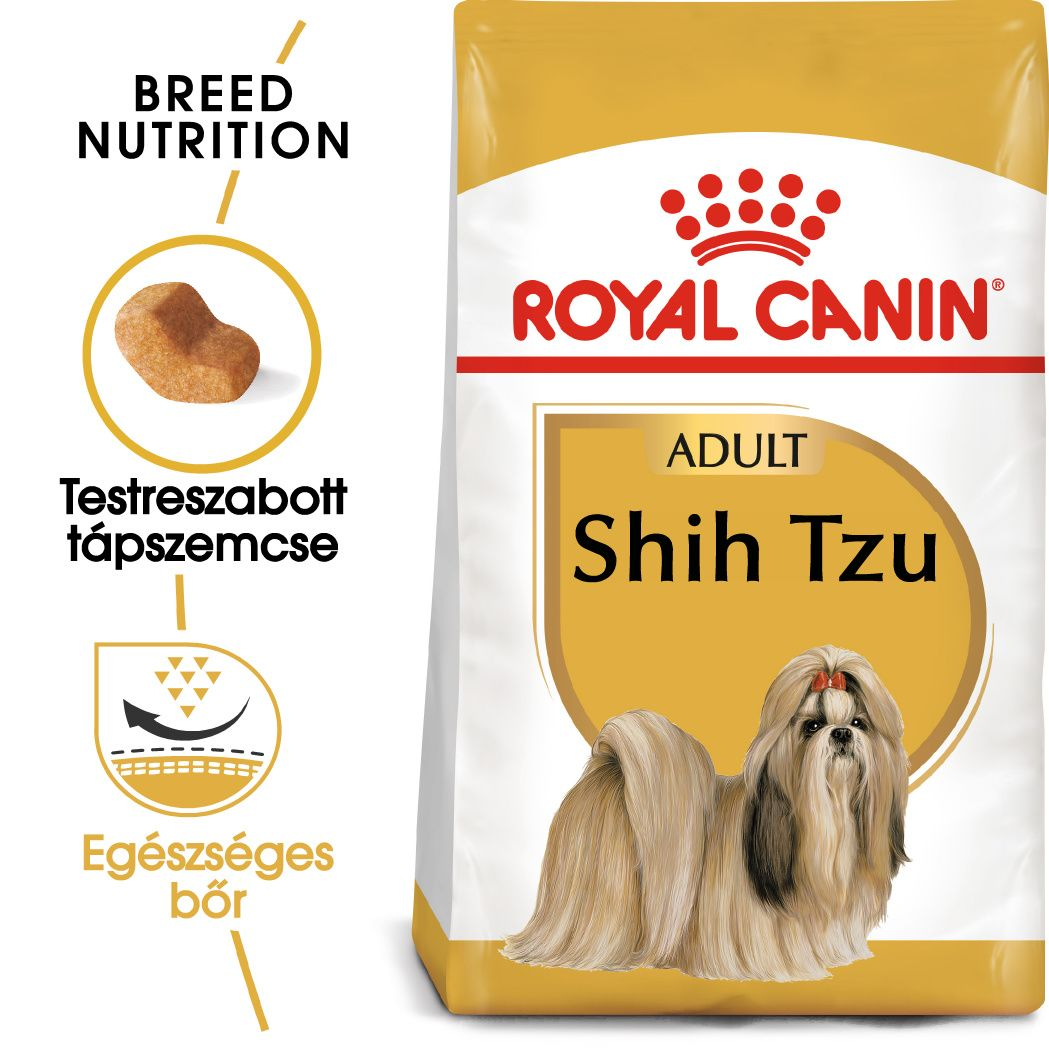 Shih Tzu Adult